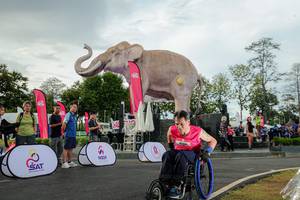 BIB: 
                            <button type="button" onclick="openModal(26528364)" class="btn btn-primary btn-sm float-right btn-popup" data-toggle="modal" data-target=".modal-high-quality">
                        <i class="fas fa-shopping-cart"></i> Add to Cart
                    </button>
                                            <button type="button" onclick="isThisMe(26528364, true)" class="btn btn-success btn-sm float-right btn-popup btn-isme hidden" data-toggle="tooltip" data-placement="bottom" title="นี่คือรูปของคุณใช่ไหม คลิกที่นี่เพื่อเอาเข้าอัลบั้ม">
                        <i class="fas fa-plus"></i> Add to album
                    </button>
                    <button type="button" onclick="isThisMe(26528364, false)" class="btn btn-warning btn-sm float-right btn-popup btn-isnotme hidden">
                        <i class="fas fa-ban"></i> Remove from album
                    </button>